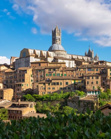 Siena Free Tour