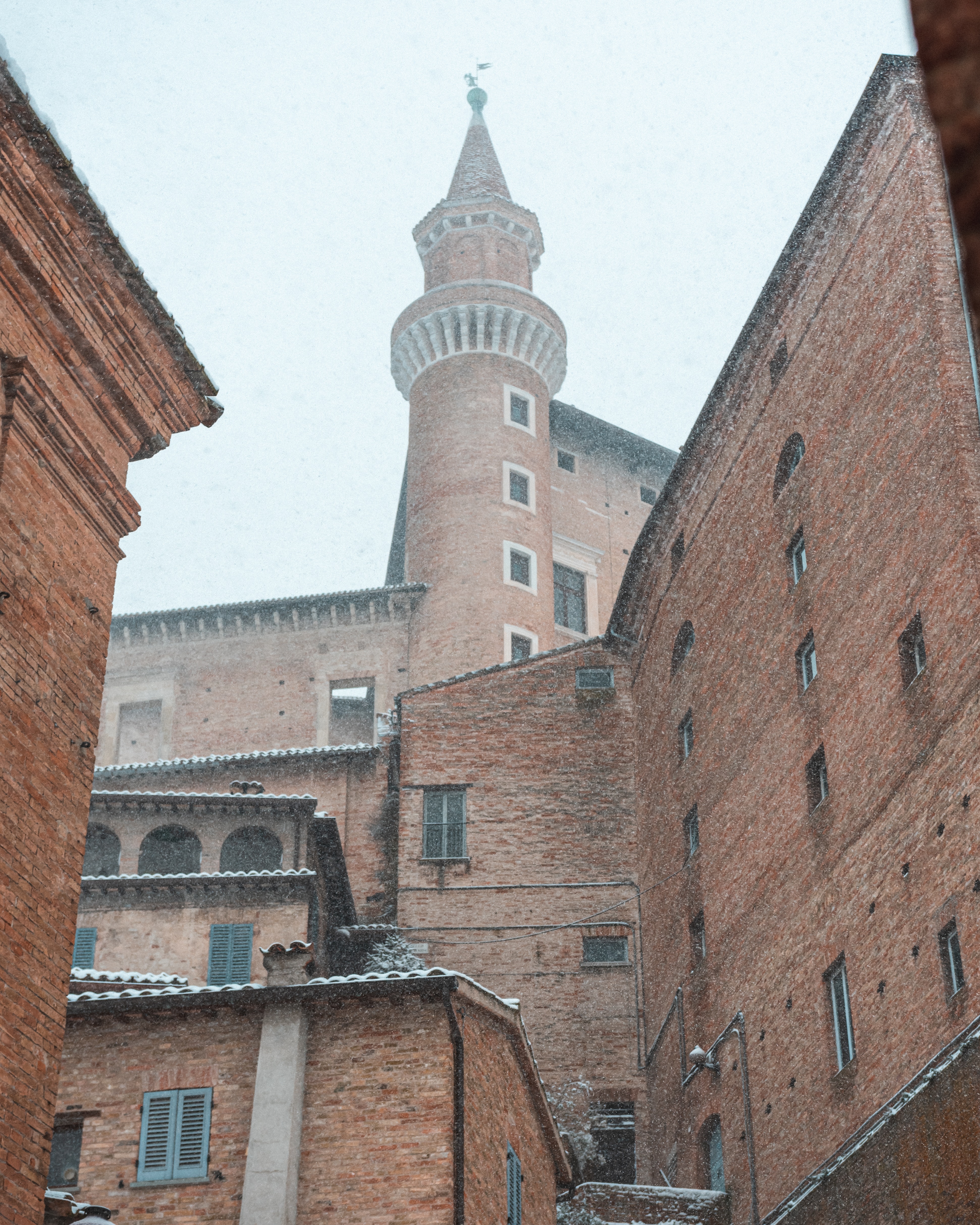 Urbino free tour