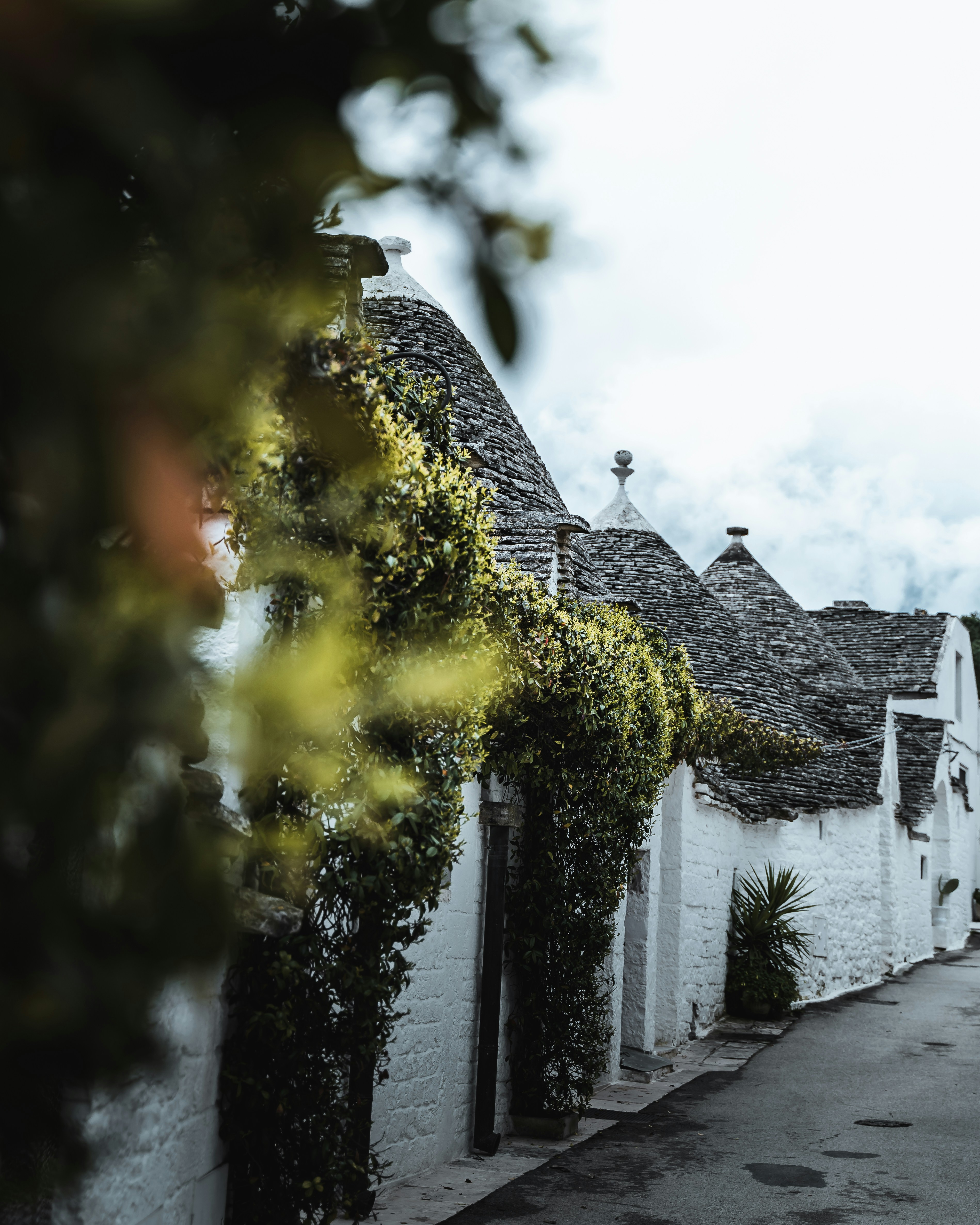 Alberobello free tour