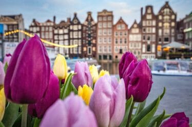 Amsterdam Free Tour