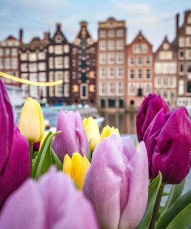 Amsterdam Free Tour