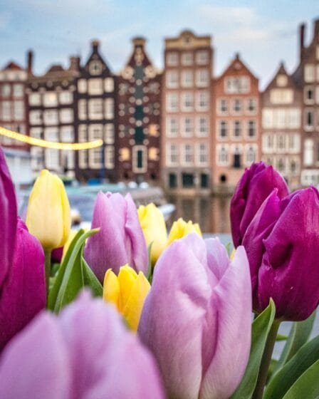 Amsterdam Free Tour