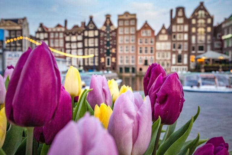Amsterdam Free Tour