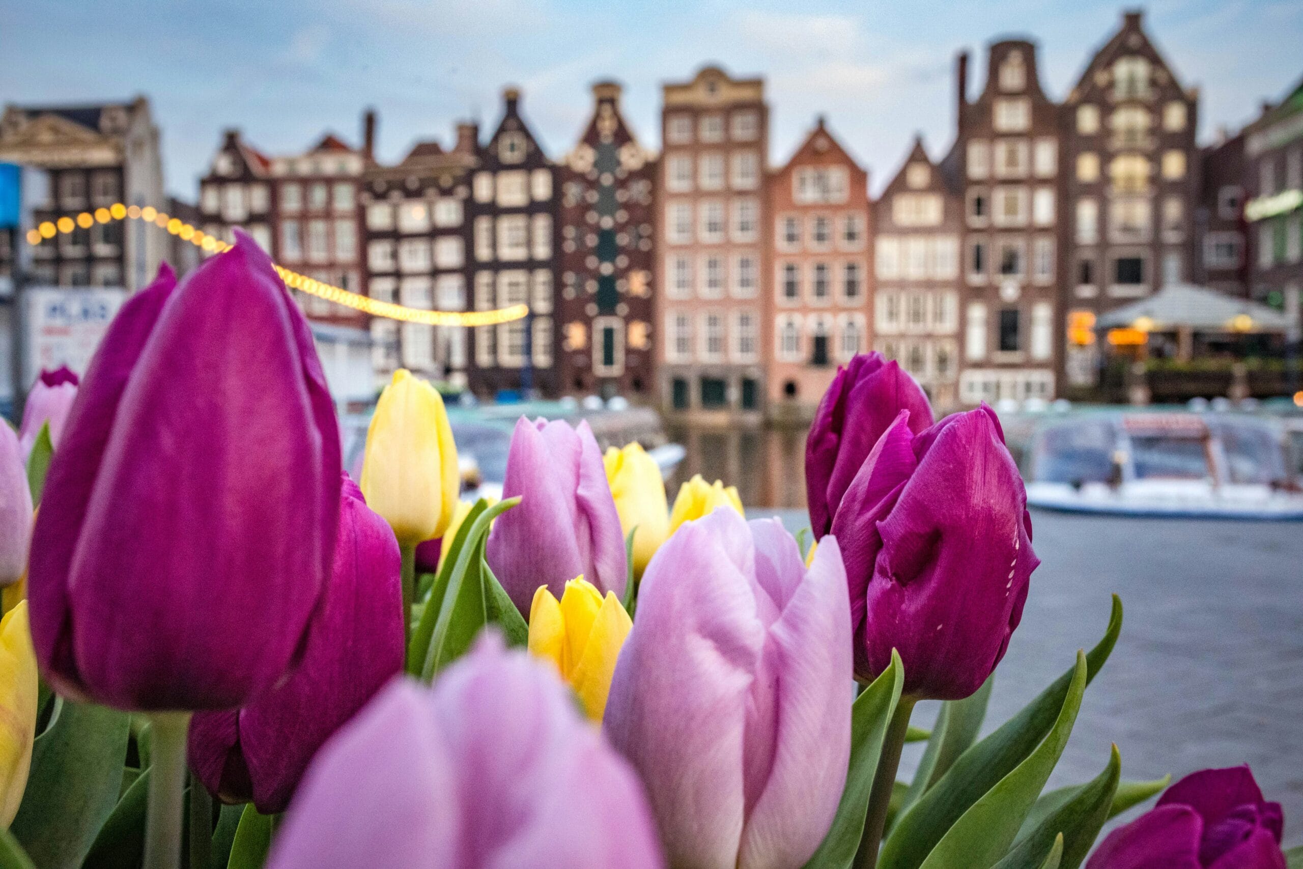 Amsterdam Free Tour