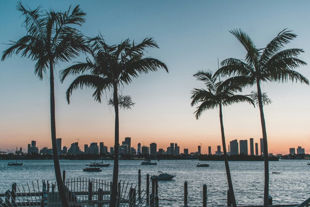 Miami Free Tour