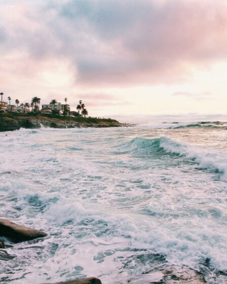 San Diego Free Tour