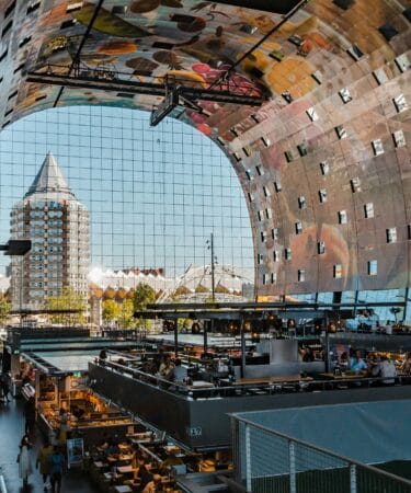 Rottherdam Free Tour