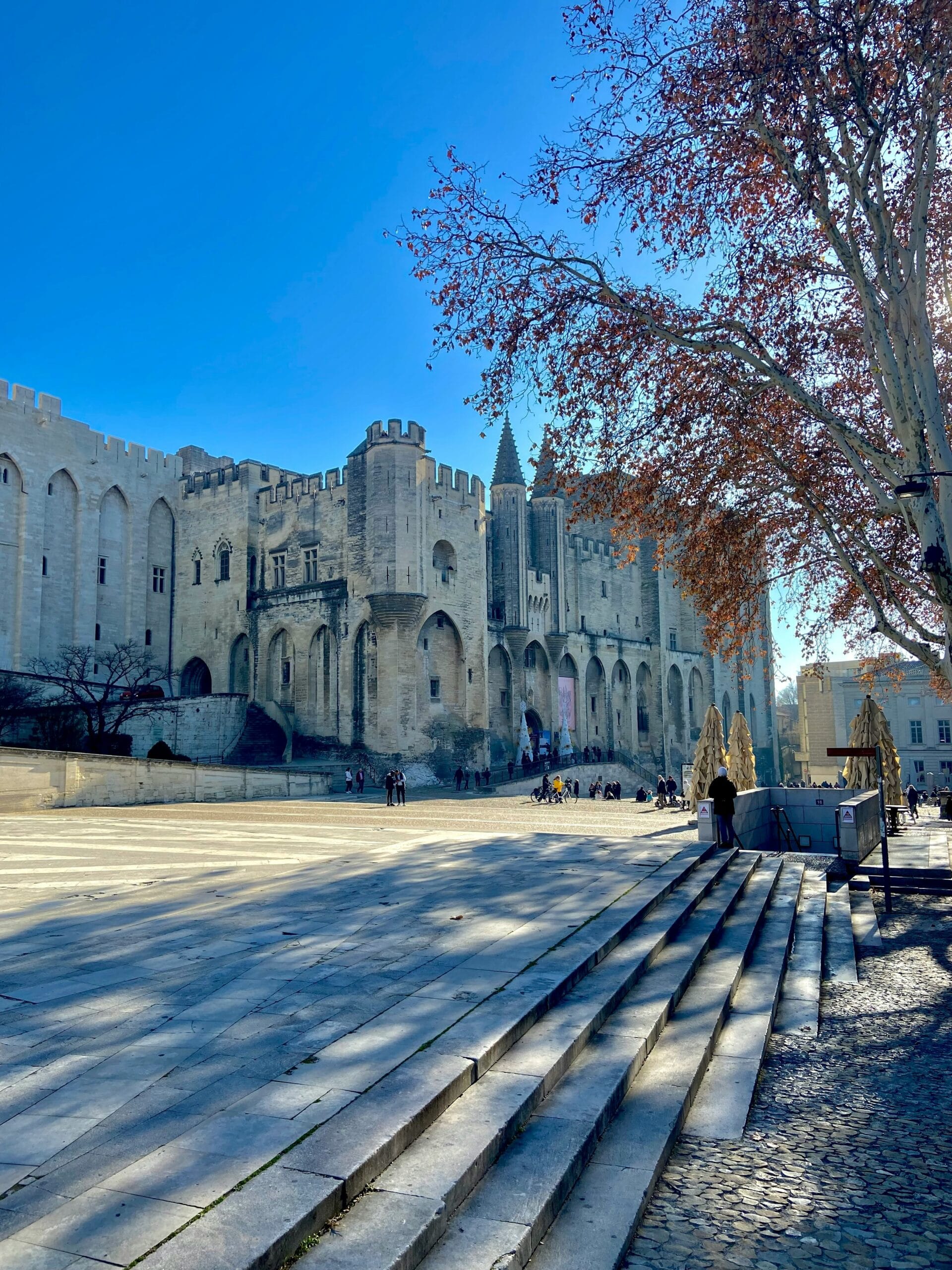 Avignon Free Tour