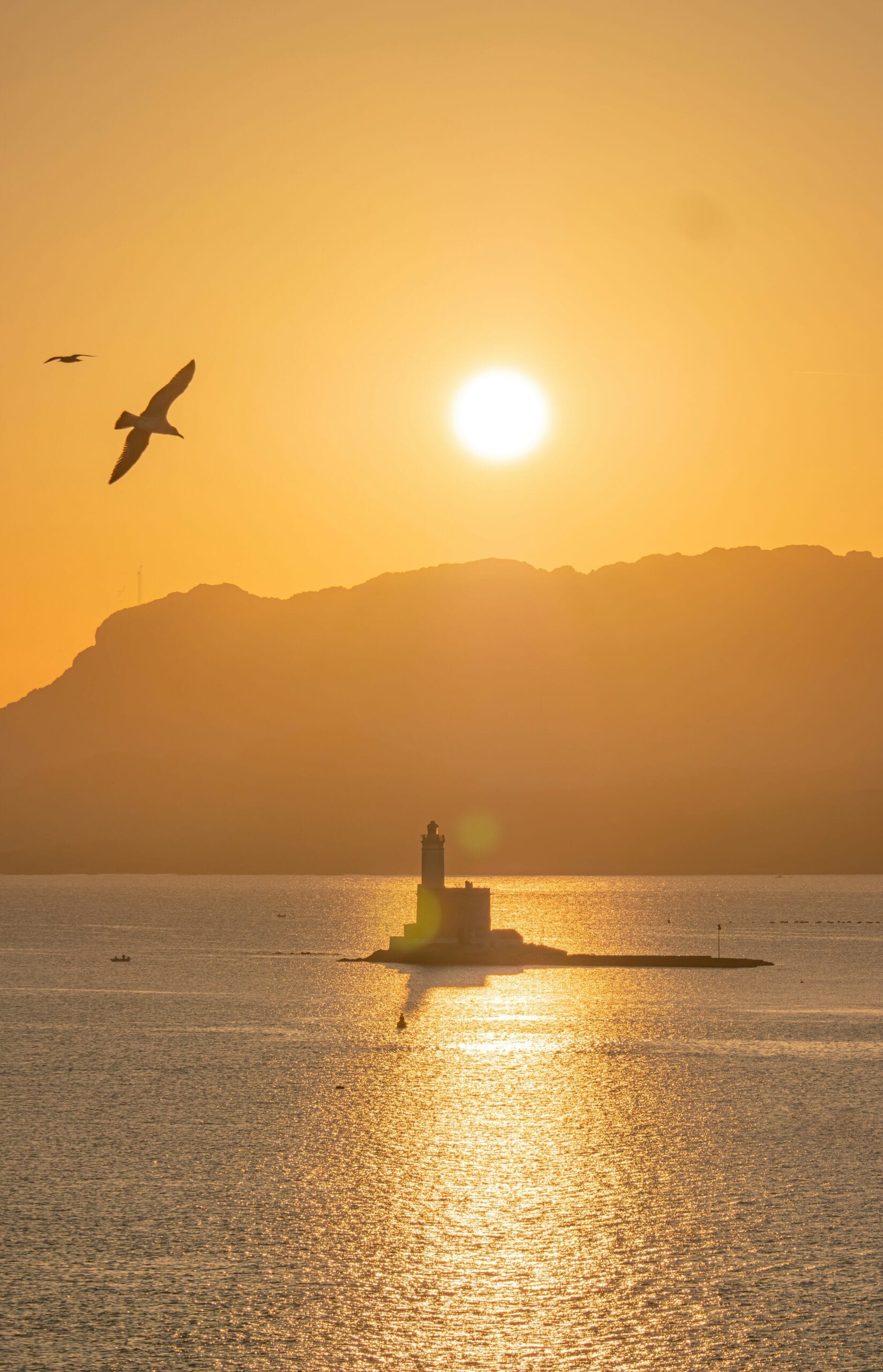 Olbia Free Tour