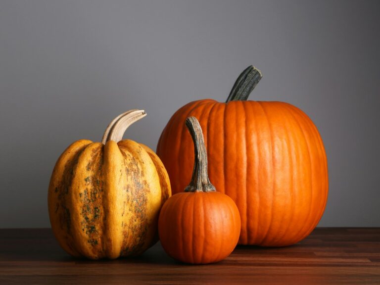 Three decorative pumpkins on a wooden table, illustrating Halloween in Italy