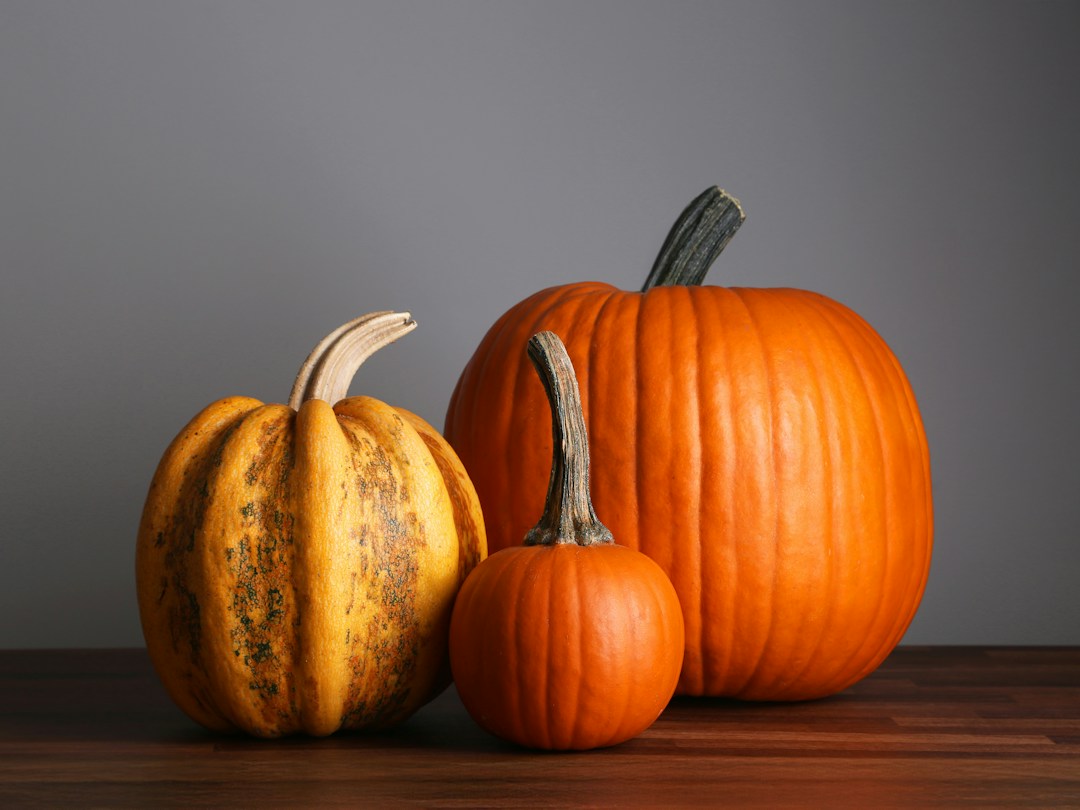 Three decorative pumpkins on a wooden table, illustrating Halloween in Italy
